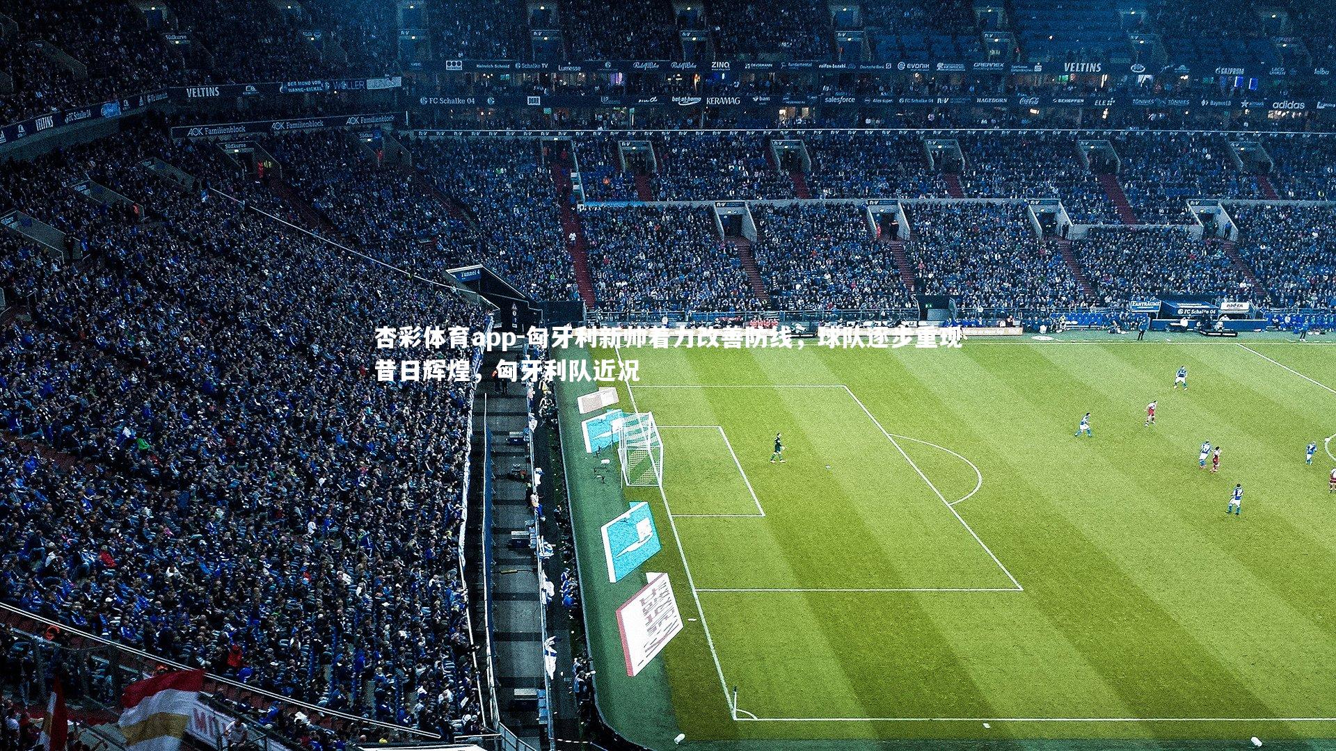 匈牙利新帅着力改善防线，球队逐步重现昔日辉煌，匈牙利队近况